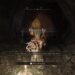 PS5 Elden Ring : Shadow of the Erdtree Edition | PlayStation 5